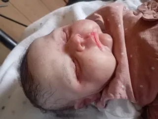 Muñeca Reborn realista