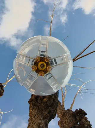 Lámpara farol tulipa Mazzega vintage