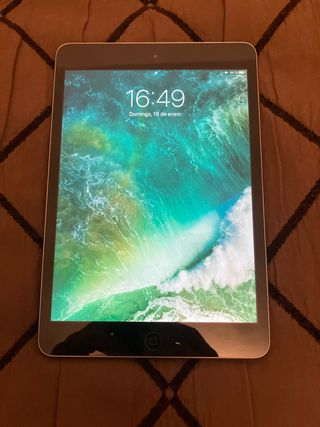 iPad mini II