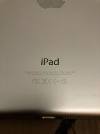 iPad mini II
