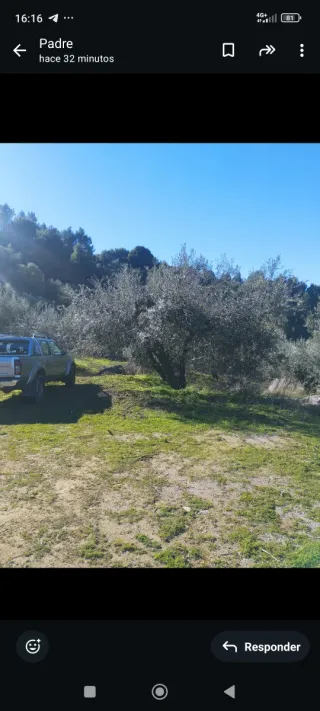 Finca rústica con Cortijo para reformar.