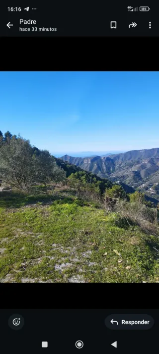 Finca rústica con Cortijo para reformar.