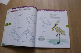 Pack Libros aprende a dibujar