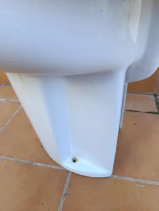 Bidé blanco Roca Frío y Caliente