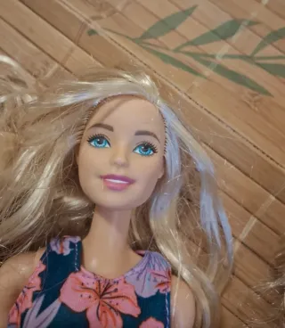 Barbie e Chelsea bambole