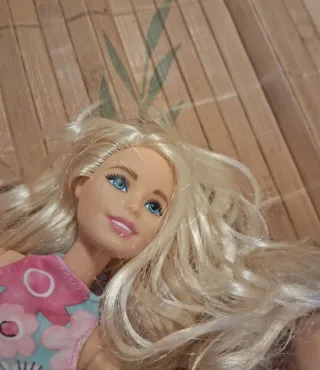 Barbie e Chelsea bambole