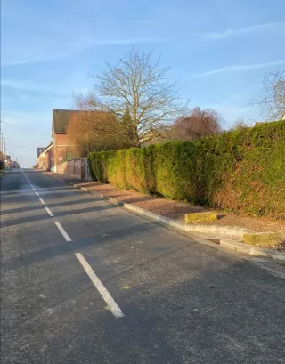 Jardinero económico