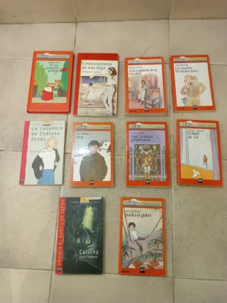 Libros el Barco de Vapor