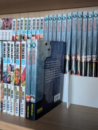 Lote 5 Soportes para Manga Negro