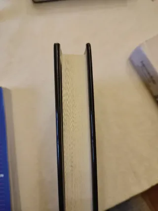 Libro en ingles Cheief executive