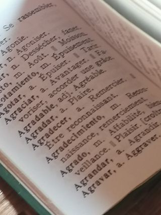 Micro diccionario español-francés vintage