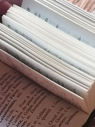 Micro diccionario español-francés vintage