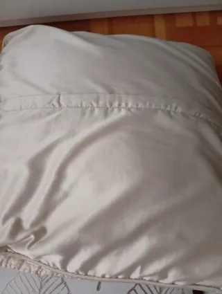 Juego de 2 cojines decorativos