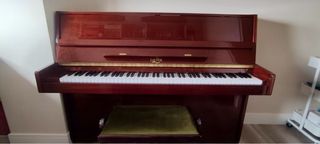 Piano Lauper Acústico + Banqueta Verde