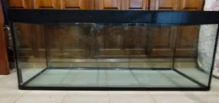 Acuario grande