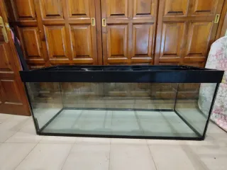 Acuario grande