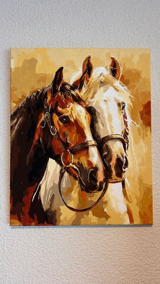 Cuadro Pintado por Números Caballos