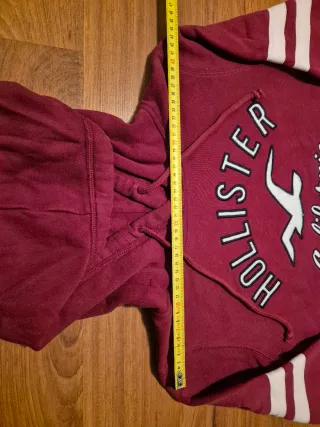 Hollister Hoodie/Sudadera California granate