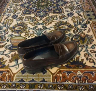 Mocassini Tod's marroni