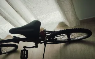 Bicicleta plegable Nilox R20