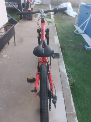 Bicicleta Scott Jr 20 7 marchas