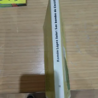 Libro de ramón López soler de los bandos de castil