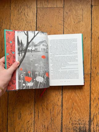 Lote de 4 libros para niñas de 11-13 años