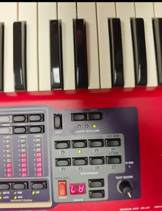NORD ELECTRO 2 + funda