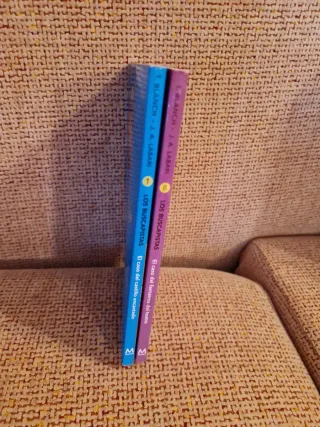 El caso del fantasma del teatro (Serie Los Busc...