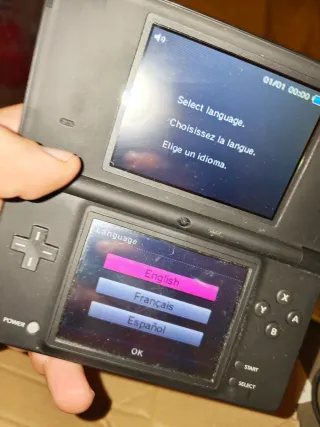 Nintendo DS Nintendogs Dalmatian & Friends