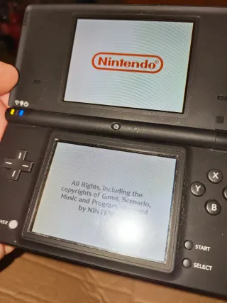 Nintendo DS Nintendogs Dalmatian & Friends