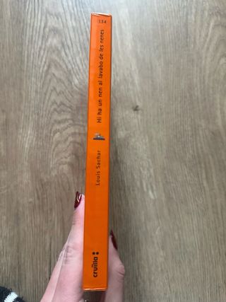 Hi ha un nen al lavabo de les nenes (El Barco d...