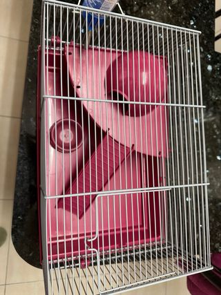 Jaula Hámster Completa + Kits Tubos