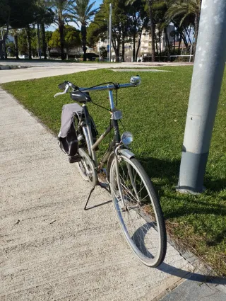 2 Bicicletas estilo retro con alforjas