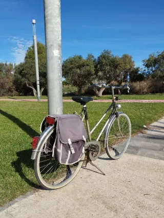 2 Bicicletas estilo retro con alforjas