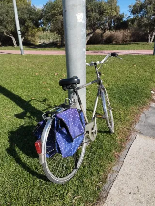2 Bicicletas estilo retro con alforjas