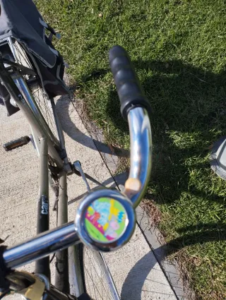 2 Bicicletas estilo retro con alforjas