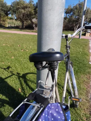 2 Bicicletas estilo retro con alforjas