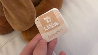 Peluche Perro Salchicha Gigante Marrón