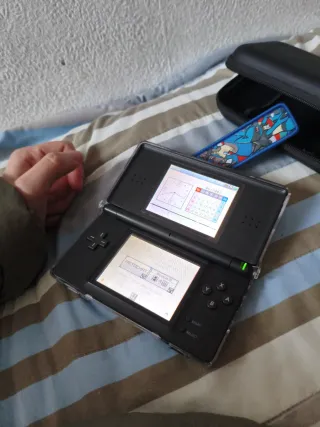 Nintendo DS Lite con accessori