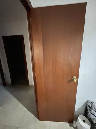 6 Puertas Madera (3 Dcha y 3 Izq). Bien