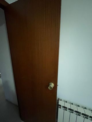 6 Puertas Madera (3 Dcha y 3 Izq). Bien