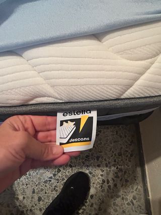 Estructura cama y colchón látex