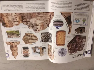 Minerali & gemme... e altri tesori del mondo na...