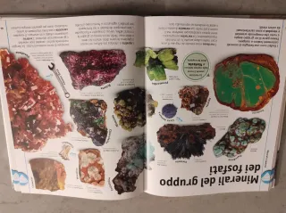 Minerali & gemme... e altri tesori del mondo na...