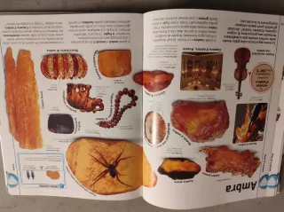 Minerali & gemme... e altri tesori del mondo na...