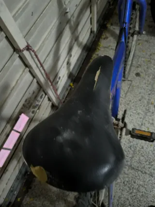 Bicicleta Azul Montaña