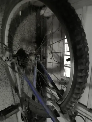 Bicicleta Azul Montaña