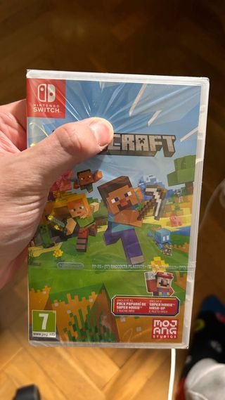 Minecraft Nintendo Switch
