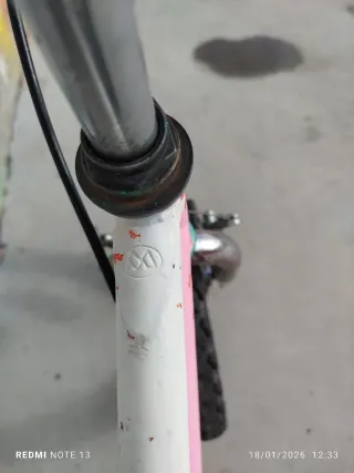 Bicicleta Monty Niña